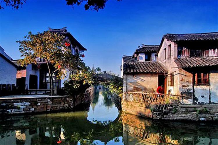 “向海花开”迎新春